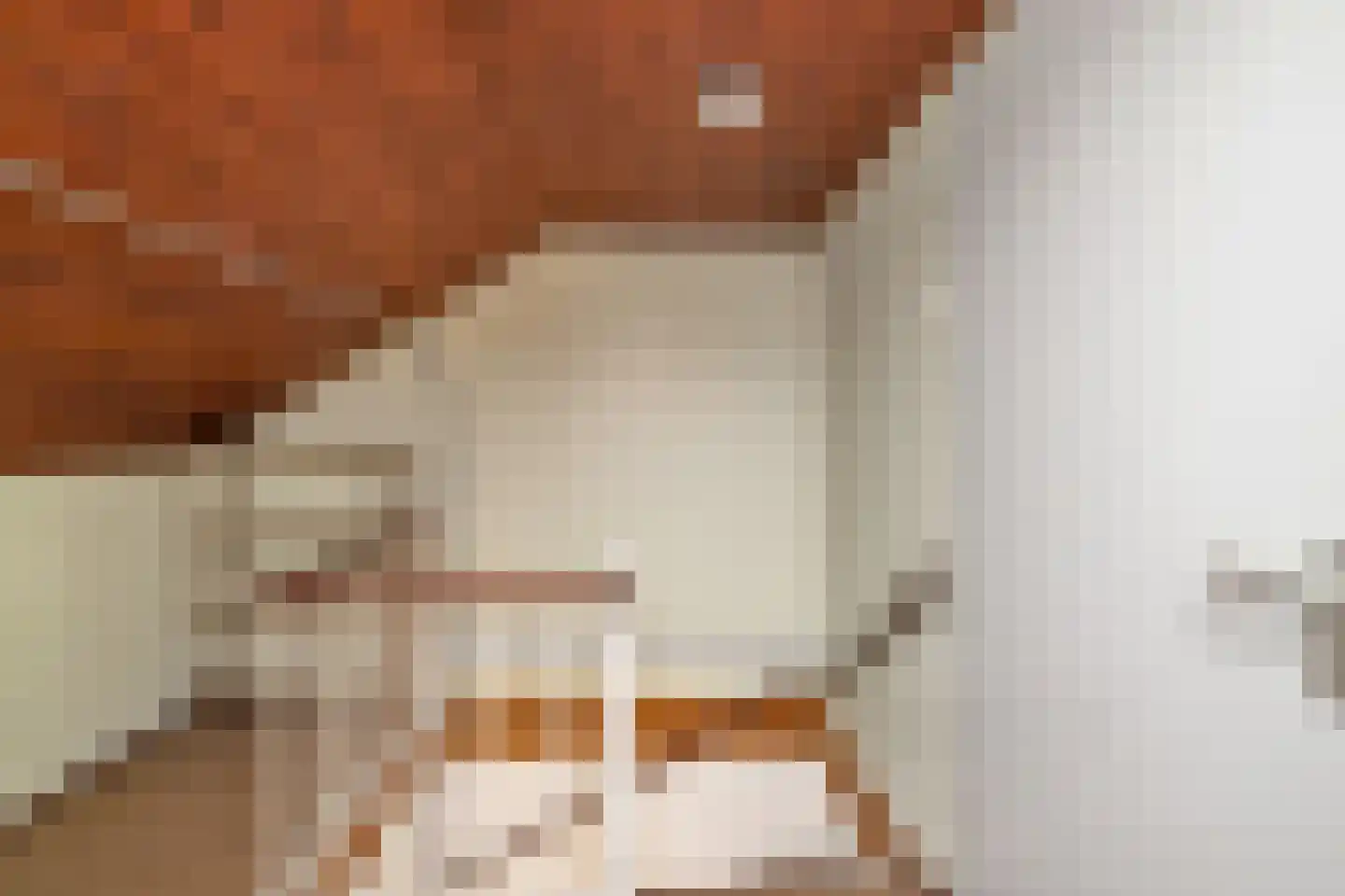 Jacob Ruijsdaellaan 15 Schagen thumbnail 35
