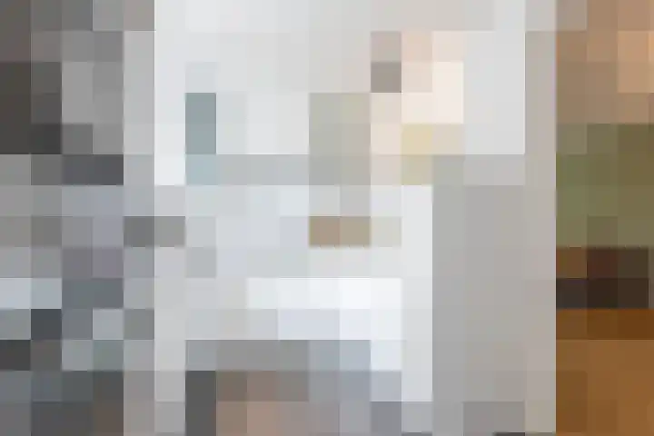 Jacob Ruisdaellaan 7 Waalre thumbnail 15