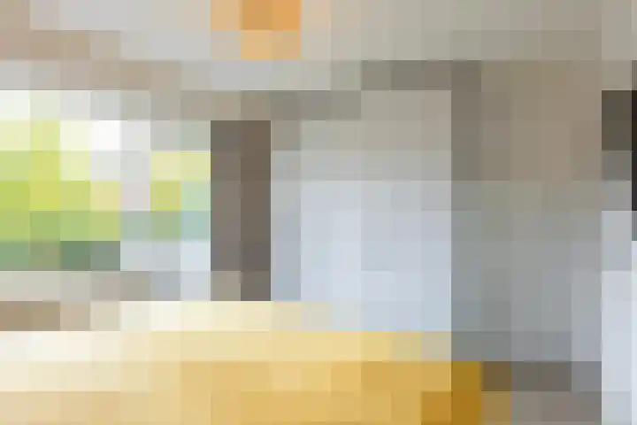 Jacob Ruisdaellaan 7 Waalre thumbnail 24