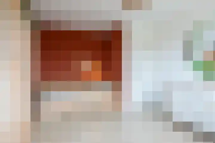 Jacob Ruisdaellaan 7 Waalre thumbnail 27