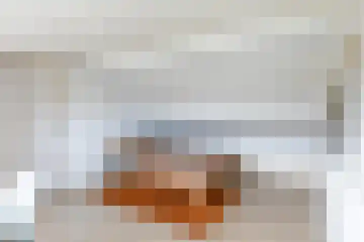Jacob Ruisdaellaan 7 Waalre thumbnail 32