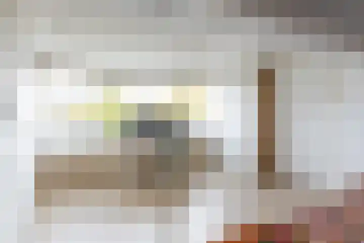Jacob Ruisdaellaan 7 Waalre thumbnail 33