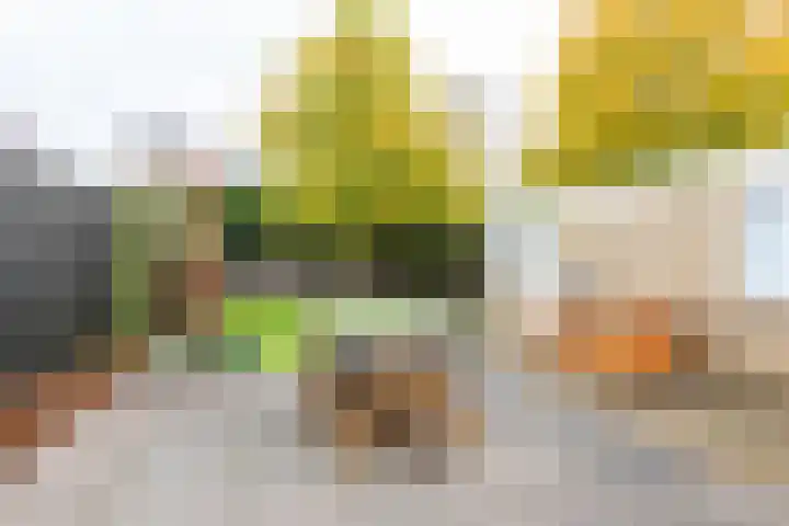 Jacob Ruisdaellaan 7 Waalre thumbnail 34