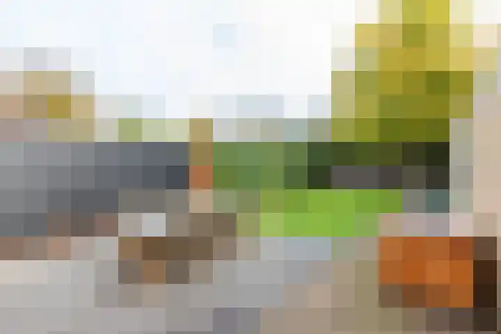Jacob Ruisdaellaan 7 Waalre thumbnail 35