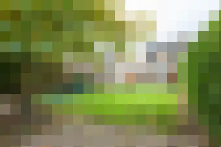 Jacob Ruisdaellaan 7 Waalre thumbnail 36