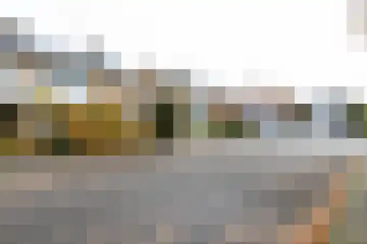 Jacob Ruisdaellaan 7 Waalre thumbnail 39