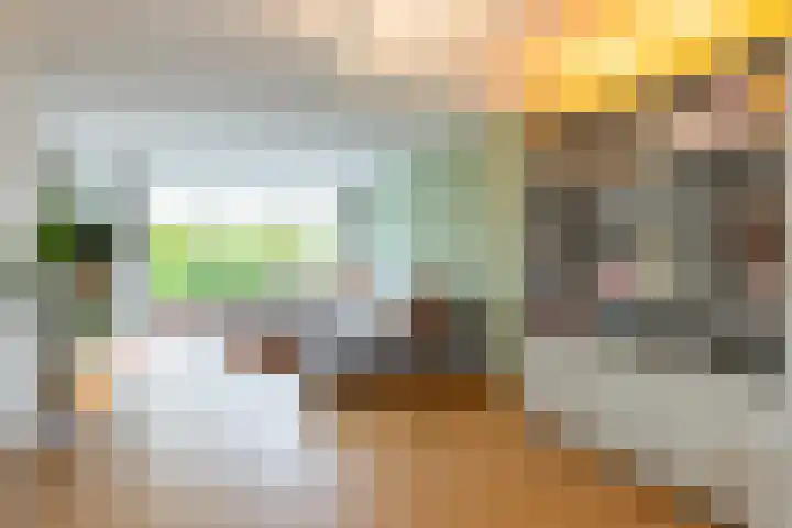 Jacob Ruisdaellaan 7 Waalre thumbnail 4