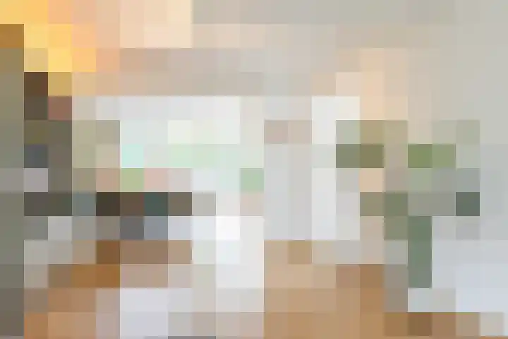 Jacob Ruisdaellaan 7 Waalre thumbnail 7