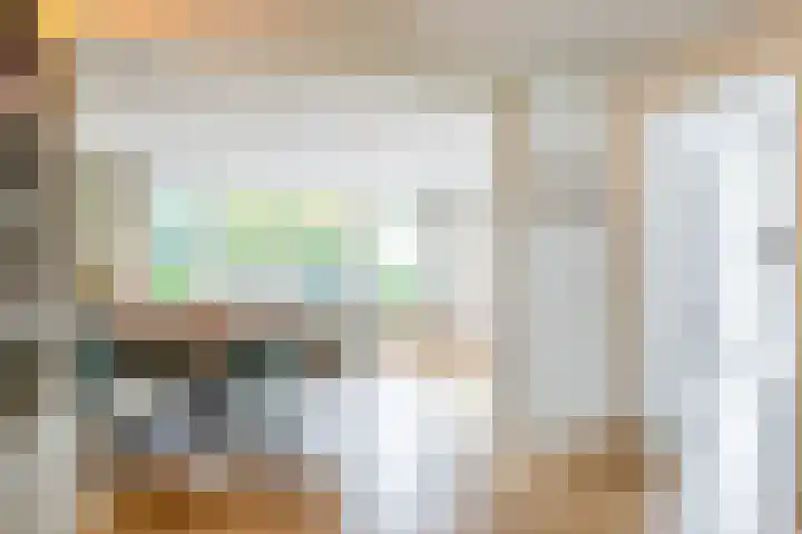 Jacob Ruisdaellaan 7 Waalre thumbnail 8