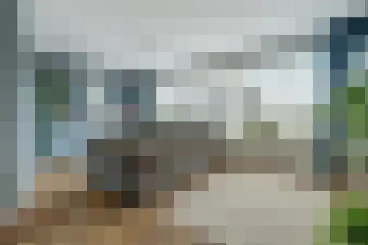 Jacob Ruysdaelstraat 11 Bergen L thumbnail 10