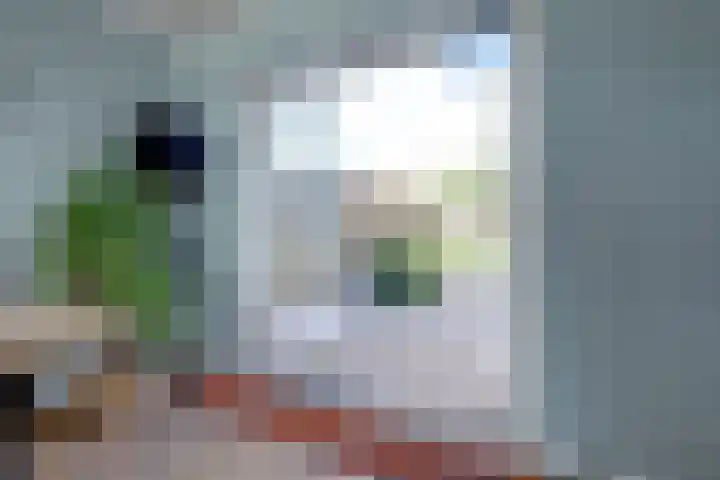 Jacob Ruysdaelstraat 11 Bergen L thumbnail 14