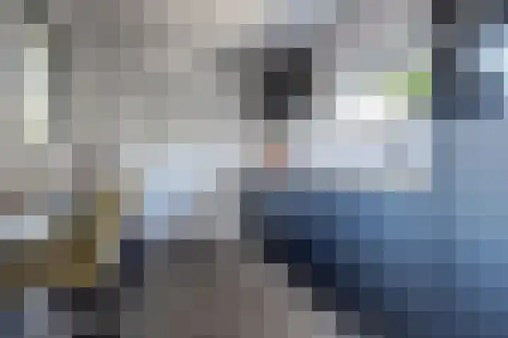 Jacob Ruysdaelstraat 11 Bergen L thumbnail 15