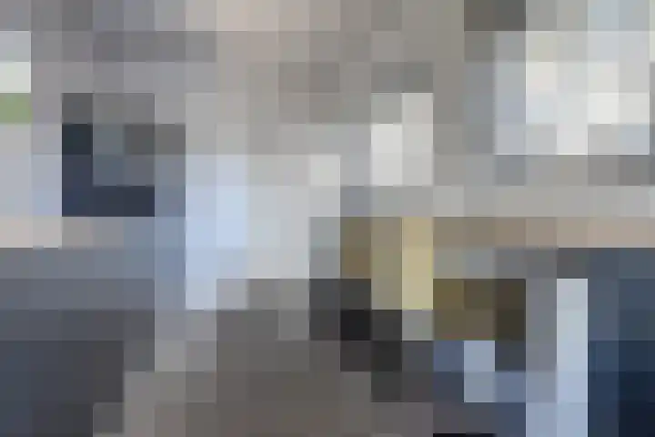 Jacob Ruysdaelstraat 11 Bergen L thumbnail 16