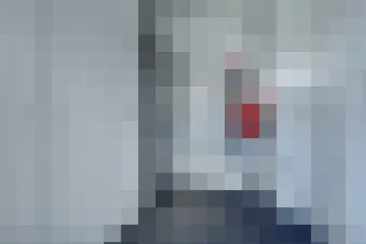 Jacob Ruysdaelstraat 11 Bergen L thumbnail 17