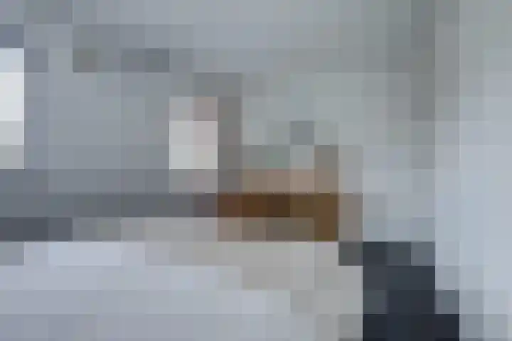 Jacob Ruysdaelstraat 11 Bergen L thumbnail 21