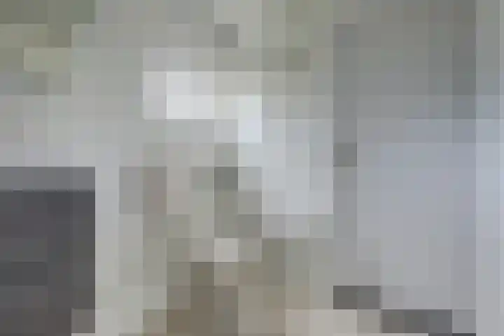 Jacob Ruysdaelstraat 11 Bergen L thumbnail 24