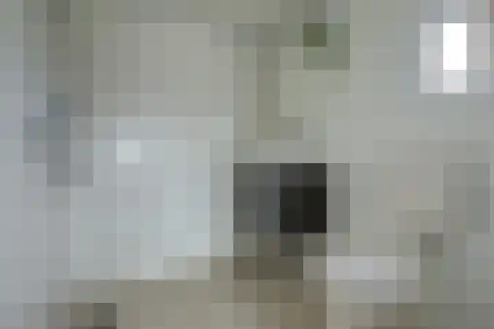 Jacob Ruysdaelstraat 11 Bergen L thumbnail 25