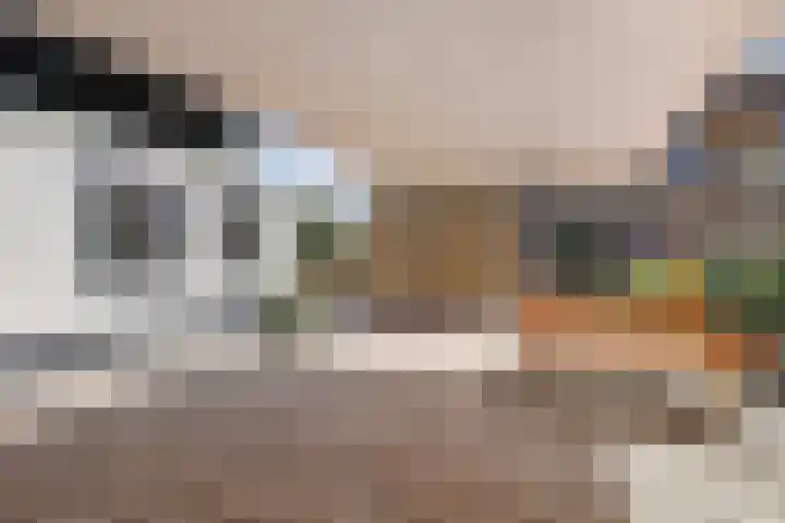 Jacob Ruysdaelstraat 11 Bergen L thumbnail 29