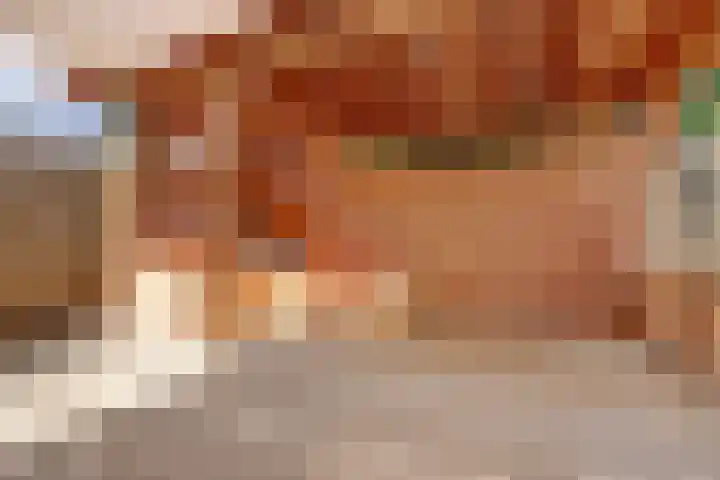 Jacob Ruysdaelstraat 11 Bergen L thumbnail 31