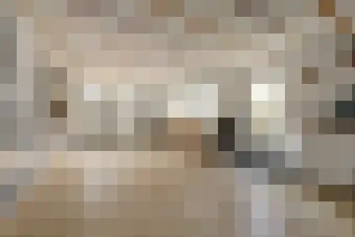 Jacob Ruysdaelstraat 11 Bergen L thumbnail 32