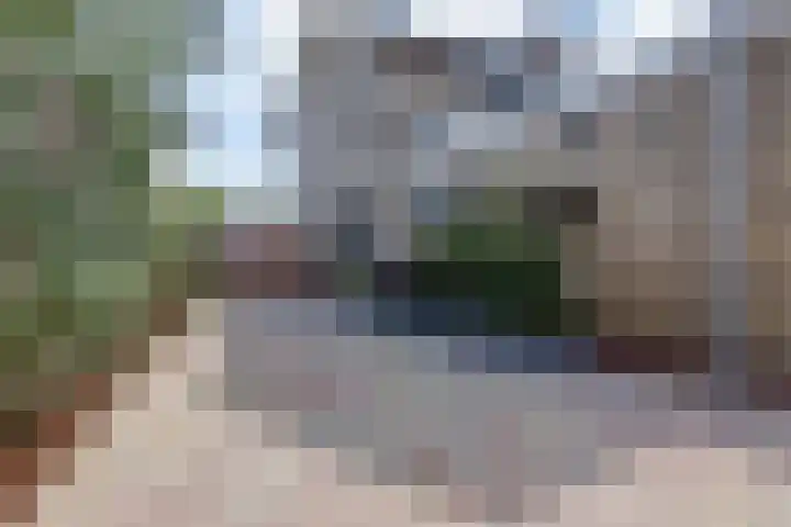 Jacob Ruysdaelstraat 11 Bergen L thumbnail 4