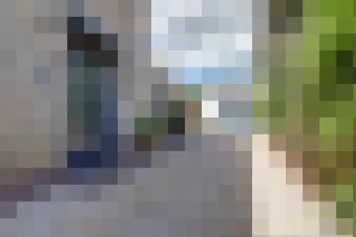 Jacob Ruysdaelstraat 11 Bergen L thumbnail 6