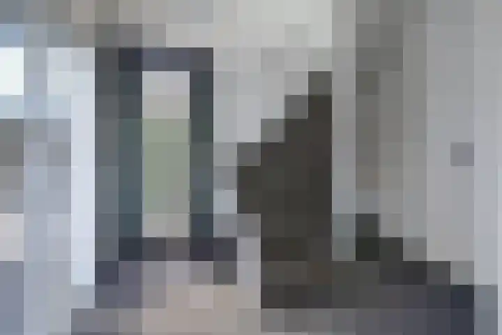 Jacob Ruysdaelstraat 11 Bergen L thumbnail 7