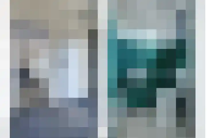 Jacob Ruysdaelstraat 11 Bergen L thumbnail 9