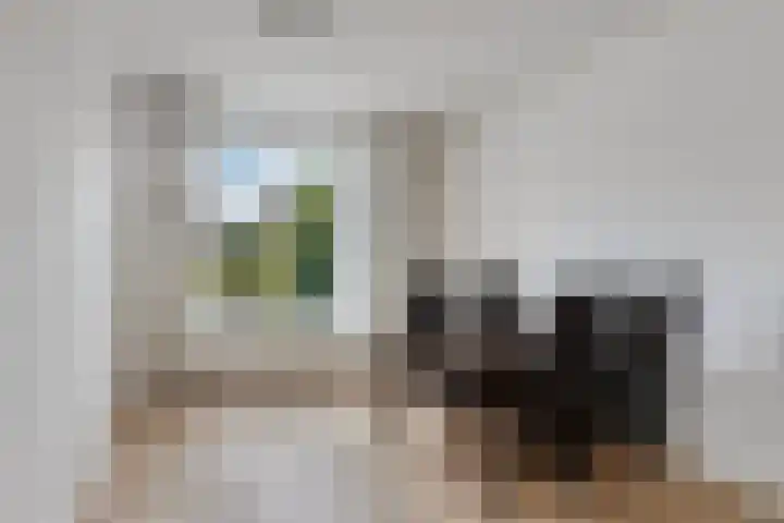 Jacob Ruysdaelstraat 4 Bergen L thumbnail 10