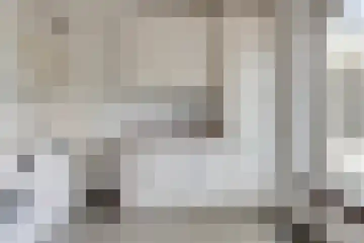 Jacob Ruysdaelstraat 4 Bergen L thumbnail 15