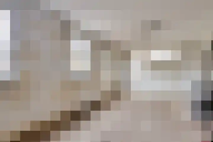 Jacob Ruysdaelstraat 4 Bergen L thumbnail 25
