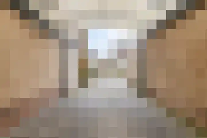 Jacob Ruysdaelstraat 4 Bergen L thumbnail 27