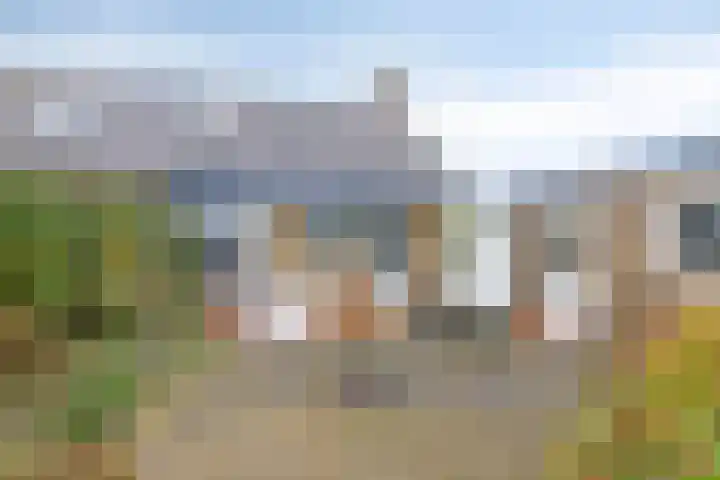 Jacob Ruysdaelstraat 4 Bergen L thumbnail 32