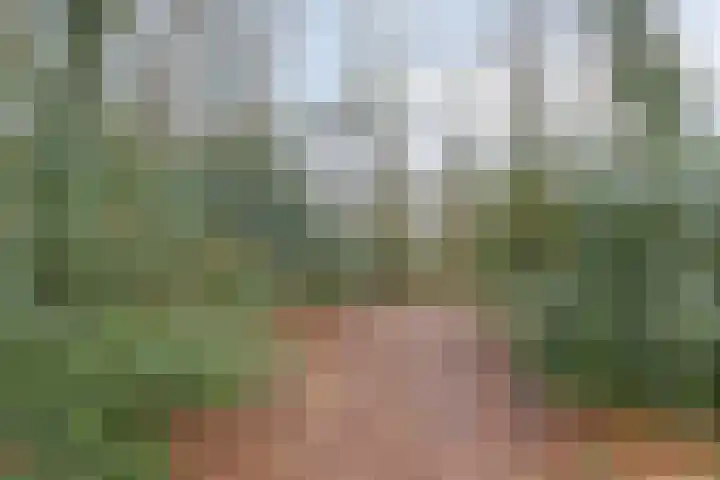 Jacob Ruysdaelstraat 4 Bergen L thumbnail 34