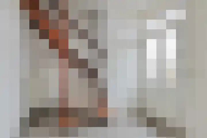Jacob Ruysdaelstraat 4 Bergen L thumbnail 5