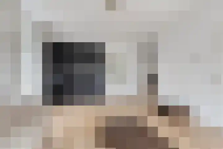 Jacob Ruysdaelstraat 4 Bergen L thumbnail 8