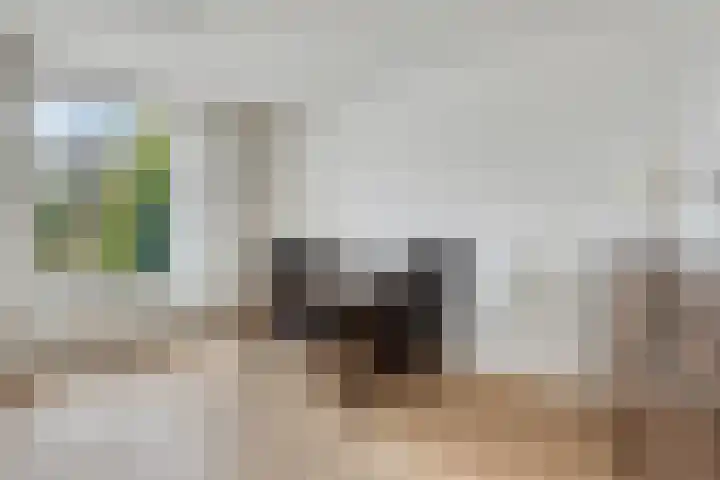 Jacob Ruysdaelstraat 4 Bergen L thumbnail 9