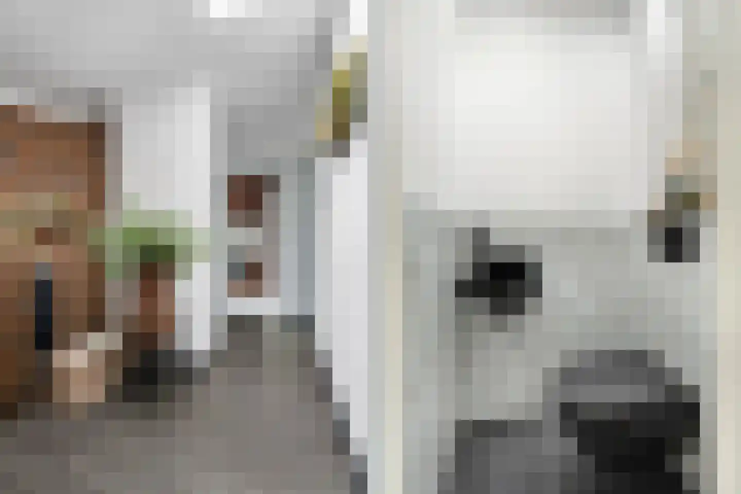 Jacob Ruysdaelstraat 43 Kerkrade thumbnail 13