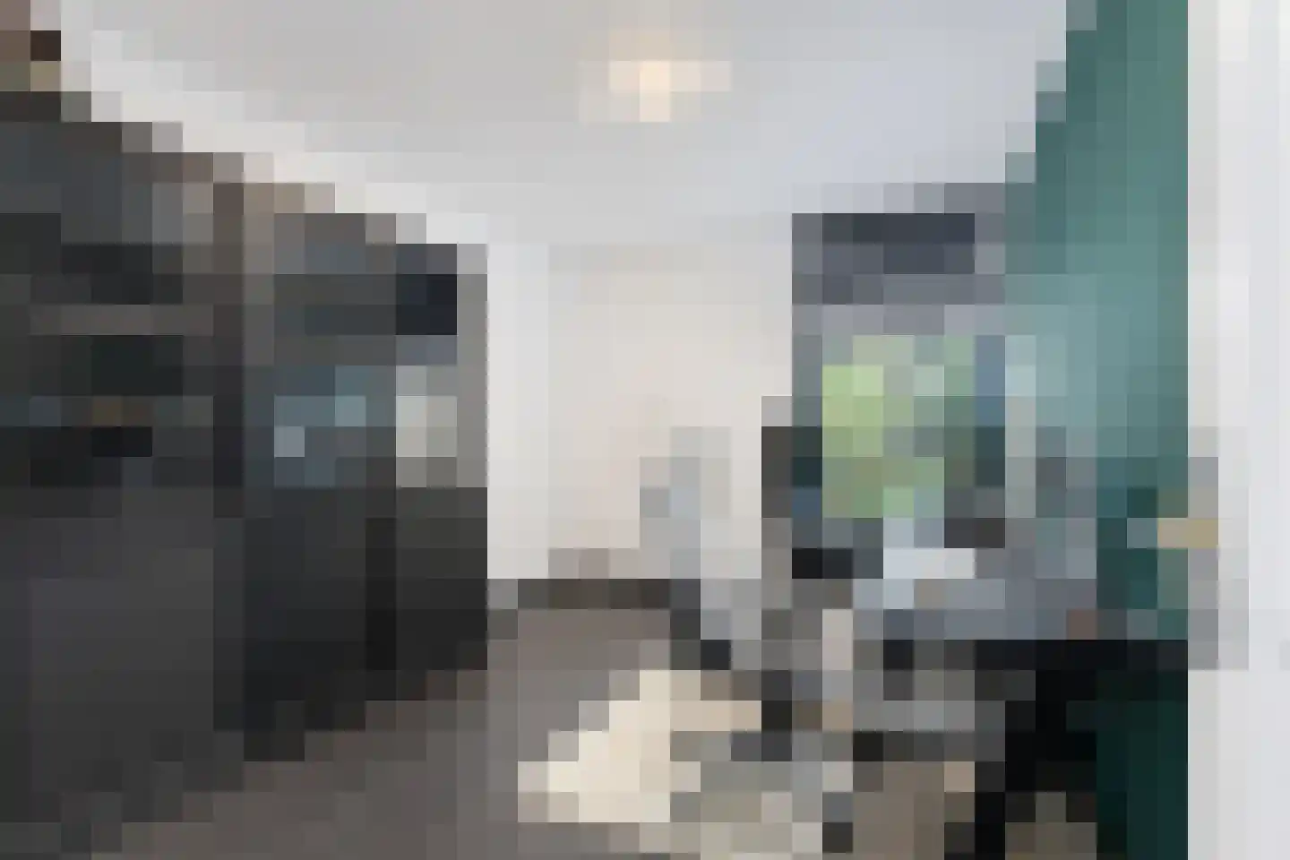 Jacob Ruysdaelstraat 43 Kerkrade thumbnail 17