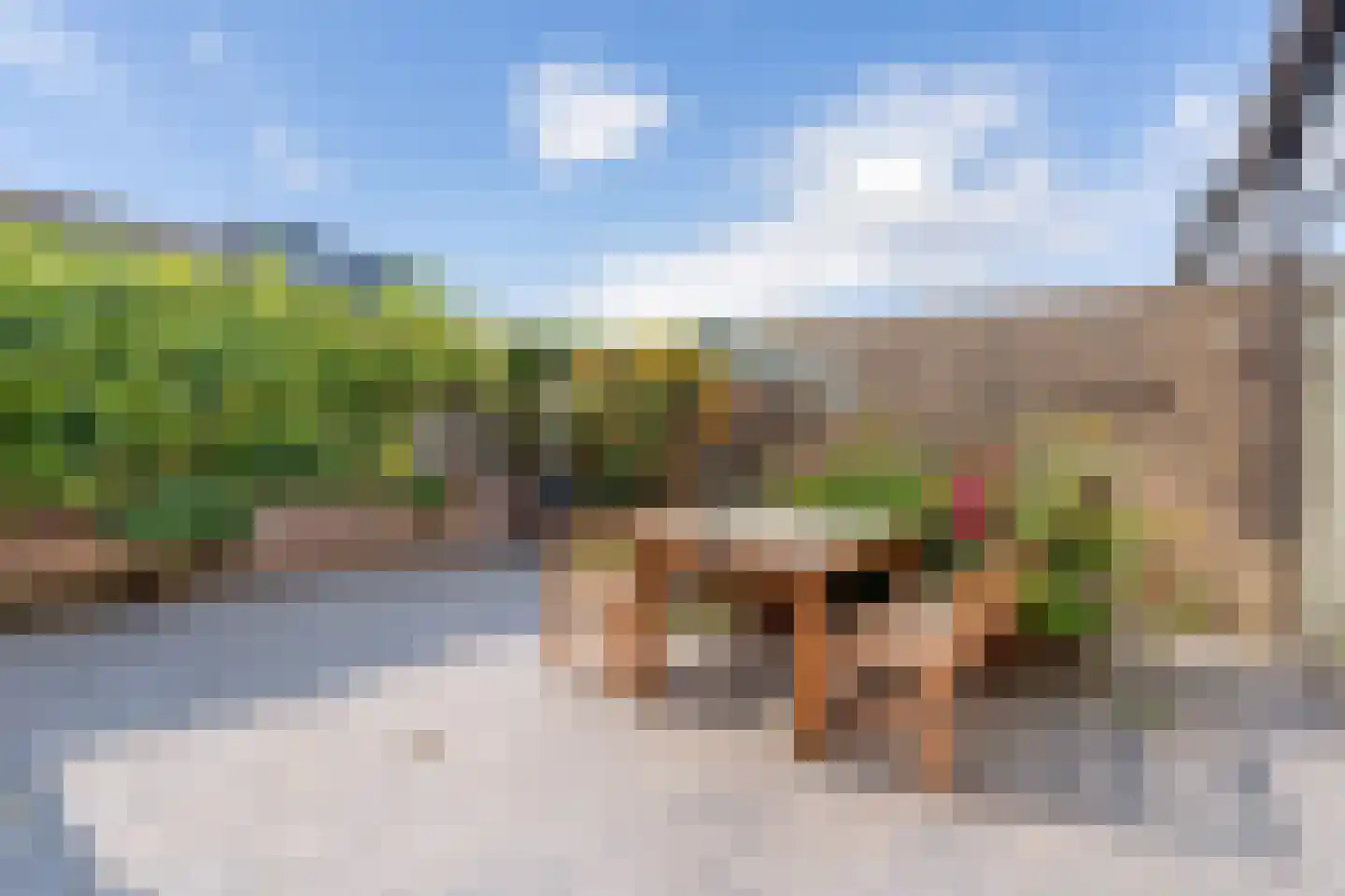 Jacob Ruysdaelstraat 43 Kerkrade thumbnail 23