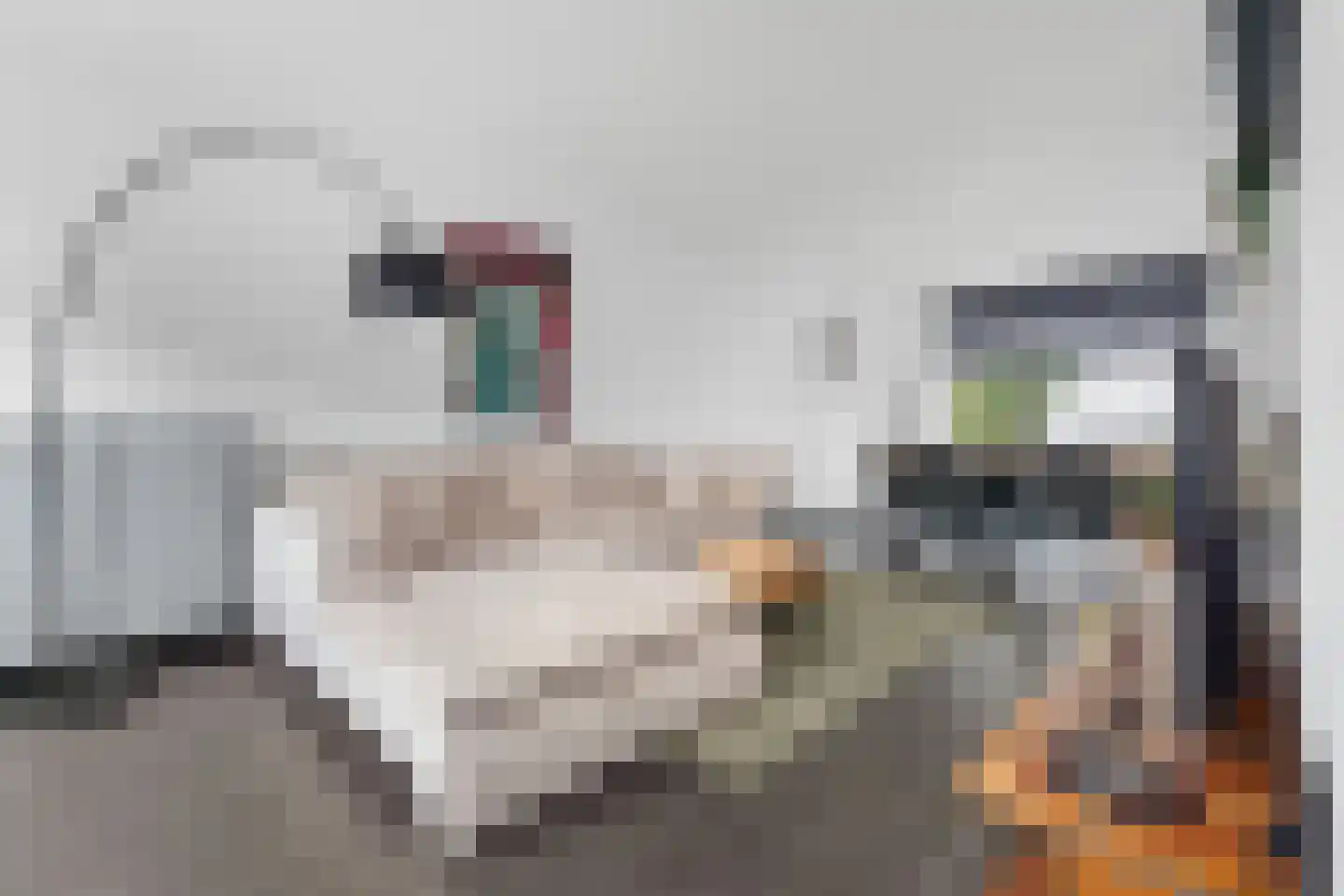 Jacob Ruysdaelstraat 43 Kerkrade thumbnail 5