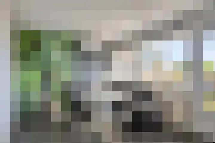 Jacob Ruysdaelstraat 6 Kerkrade thumbnail 12