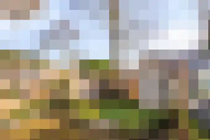 Jacob Ruysdaelstraat 6 Kerkrade thumbnail 13