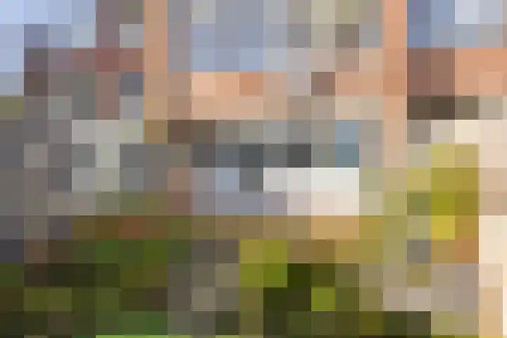Jacob Ruysdaelstraat 6 Kerkrade thumbnail 14