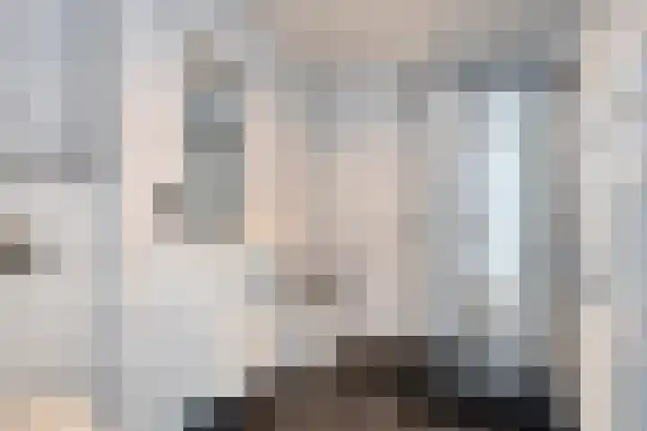 Jacob Ruysdaelstraat 6 Kerkrade thumbnail 16
