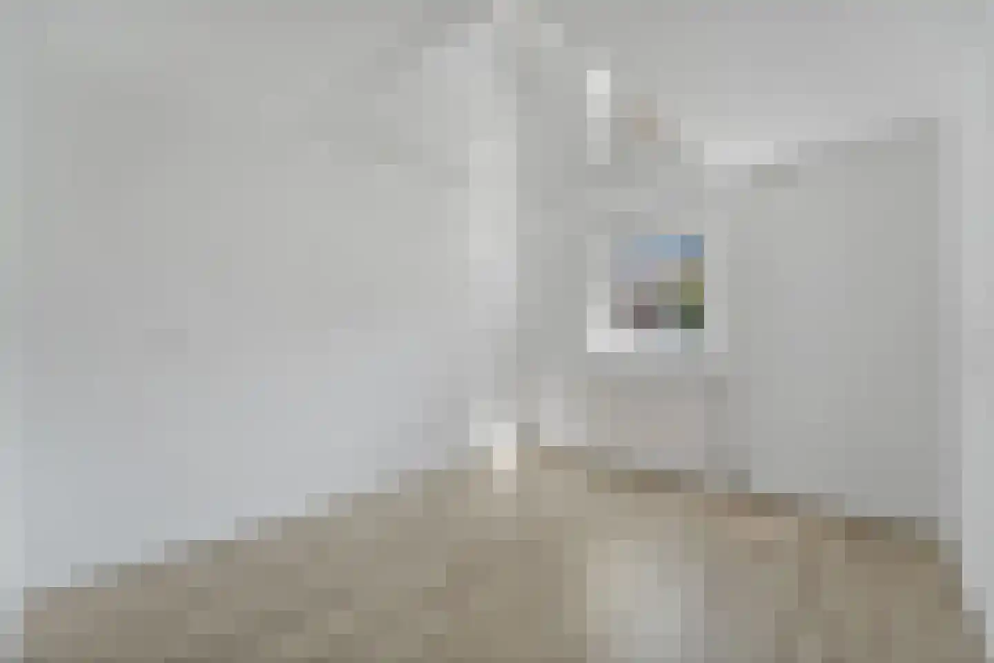 Jacob Schorerlaan 161 Den Haag thumbnail 25