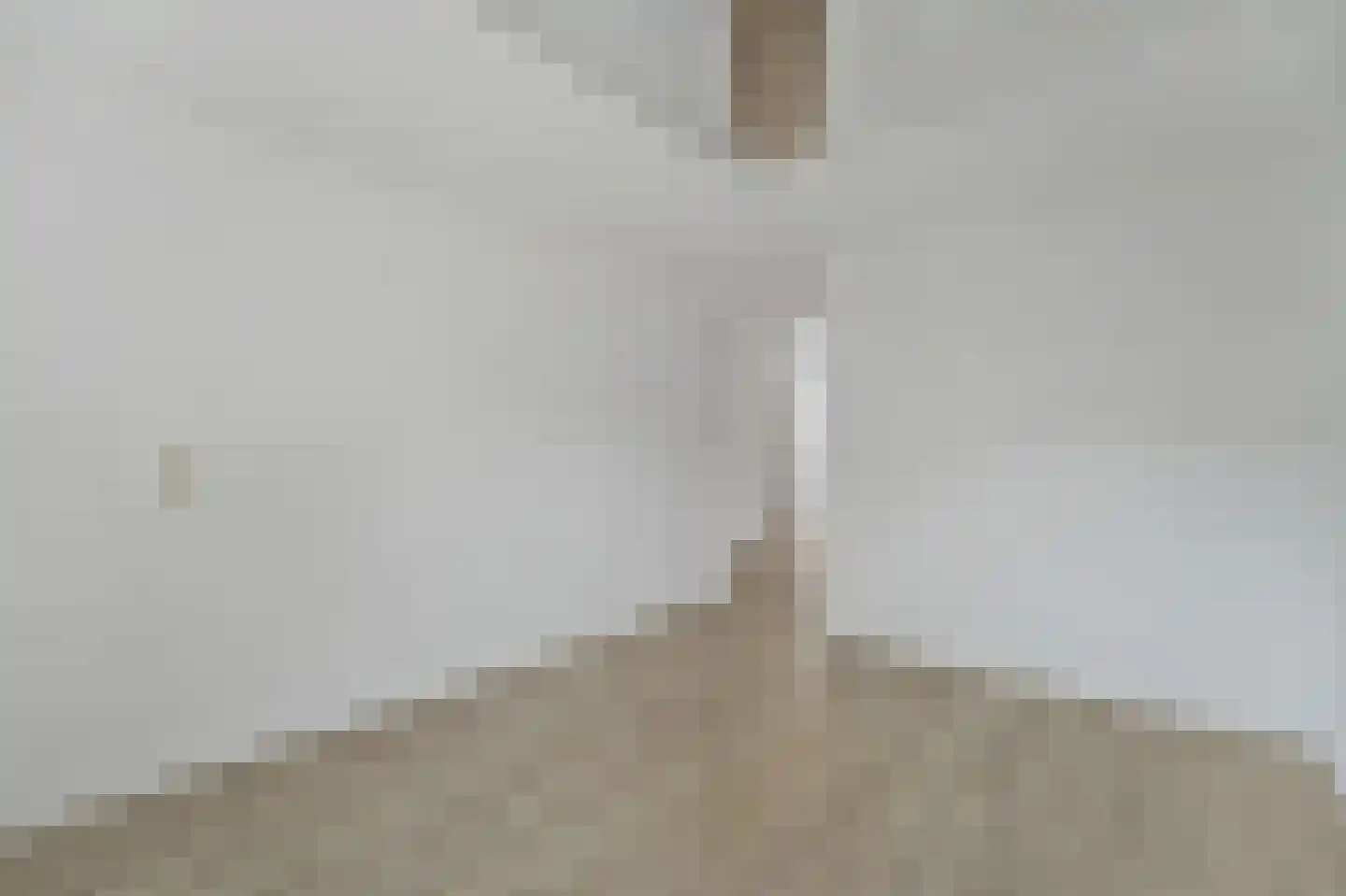 Jacob Schorerlaan 161 Den Haag thumbnail 26