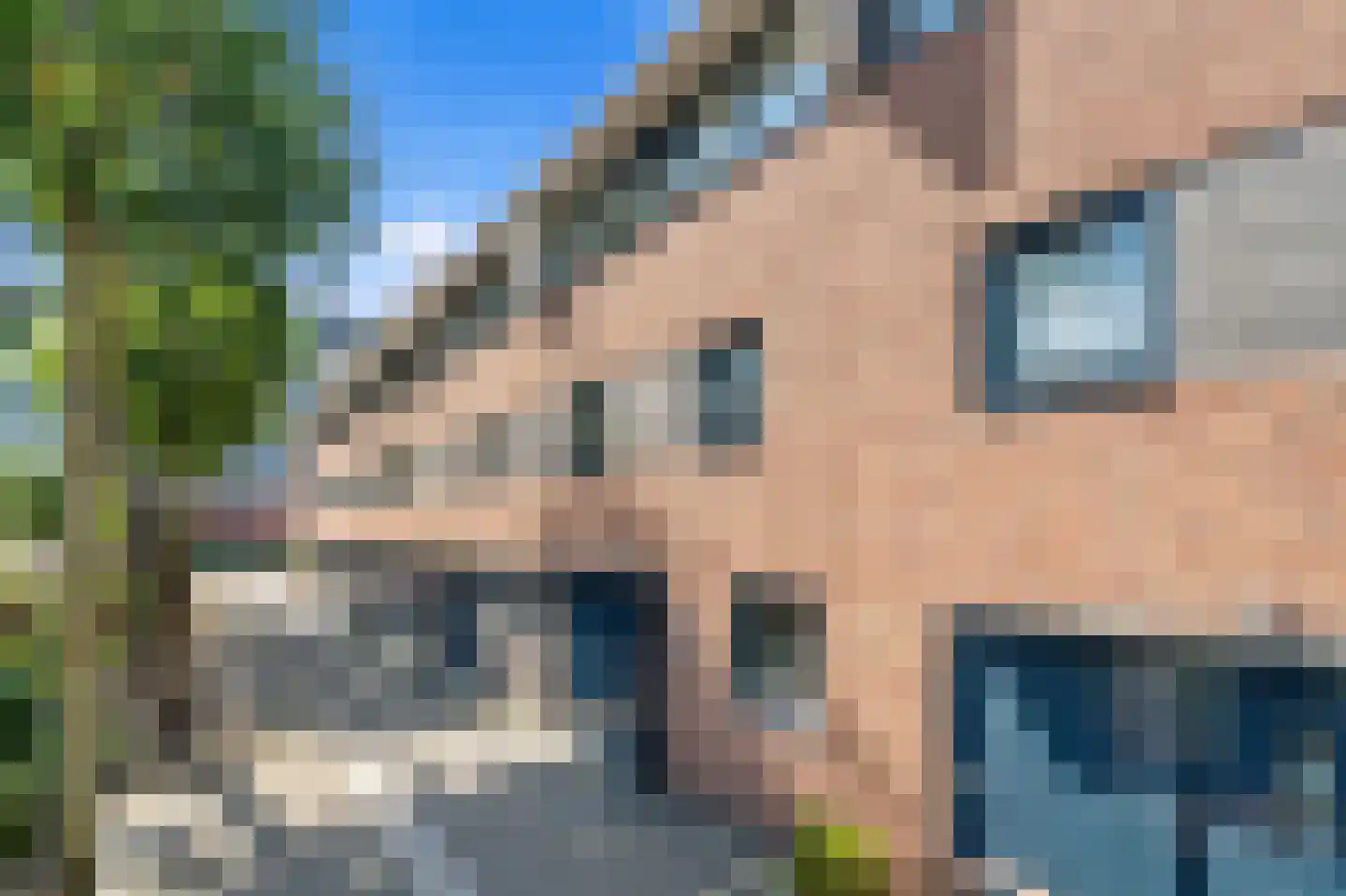 Jacob Schorerlaan 161 Den Haag thumbnail 36