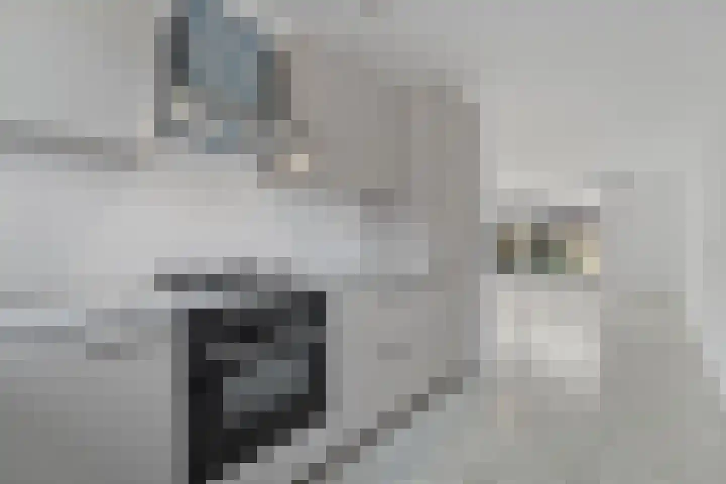 Jacob Schorerlaan 161 Den Haag thumbnail 7