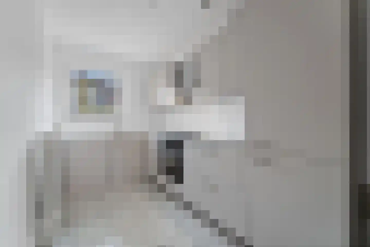 Jacob Schorerlaan 161 Den Haag thumbnail 8
